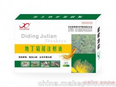 仔豬白痢治療用藥-地丁菊蓮注射液 百草傳奇 興旺獸藥