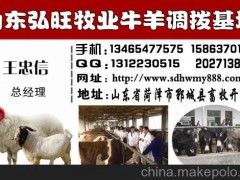 南陽利木贊牛價(jià)格