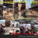 沙河市 出售（西門塔爾牛，夏洛萊牛）地方