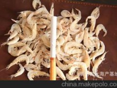 山東海產(chǎn)渤海綿蟹 蝦爬子 小紅蝦 蝦皮 面條魚