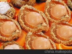 新泰市中安順干貨批發(fā)商行提供 泰安市優(yōu)質(zhì)鮑魚供應廠家