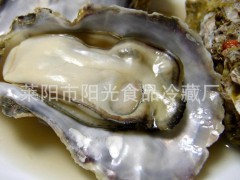 山東地區(qū) 批發(fā)供應(yīng) 牡蠣 上乘貝類(lèi) 優(yōu)質(zhì)海產(chǎn) 圖