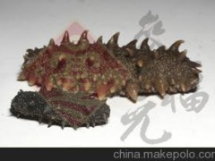 長島野生烏參 參福元散養(yǎng)野生無鹽干海參 干制水產(chǎn)品