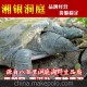湘銀洞庭低價(jià)4-4.5斤野生甲魚，團(tuán)魚，中華鱉