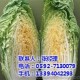 廈門地三鮮(圖)_超市蔬菜配送