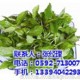 火鍋店蔬菜配送、廈門地三鮮(在線咨詢)