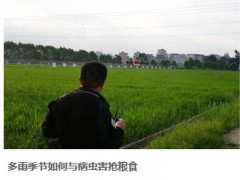 商業(yè)服務(wù)植保無(wú)人機(jī)廠(chǎng)家現(xiàn)貨，行業(yè)一流的無(wú)人機(jī)農(nóng)業(yè)植保