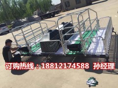 養(yǎng)豬設備低價出售 母豬產(chǎn)床價格 豬用產(chǎn)仔欄廠家直銷