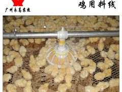 雞用料線 家禽自動化喂料系統(tǒng) 永高農(nóng)牧